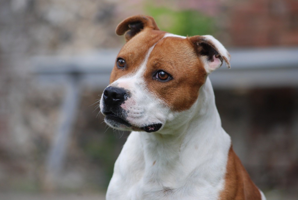 Time after time De karysha